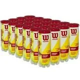 Pelotas Wilson Championship Extra Duty Caja x 24 — vista 2