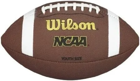 Wilson Unisex NCAA Composite Silver Series Football, Youth, Brown