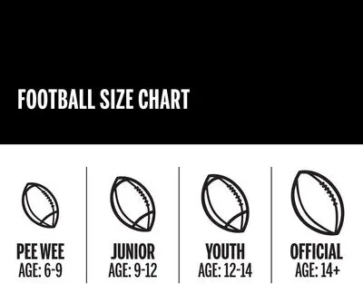 Wilson Unisex NCAA Composite Silver Series Football, Youth, Brown — vista 6