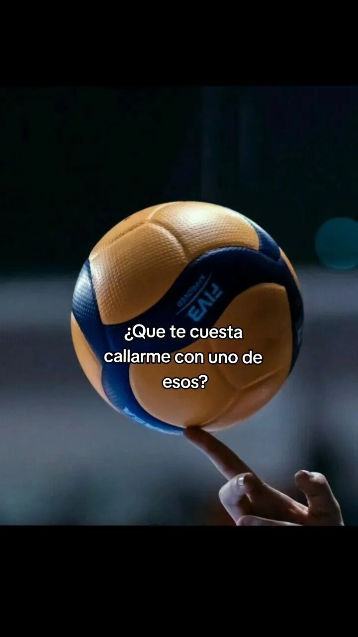 BALÓN VOLEIBOL MIKASA V330W — vista 2