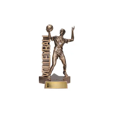 Trofeo de voleibol Billboard masculino